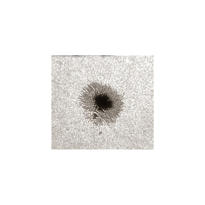 PRISMA DE HERSCHEL LUNT LS1.25HW 1.25" (31.7MM)