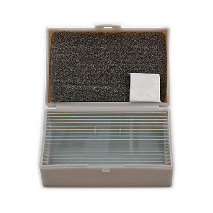 Caja TS con 10 portaobjetos de vidrio con cubreobjetos