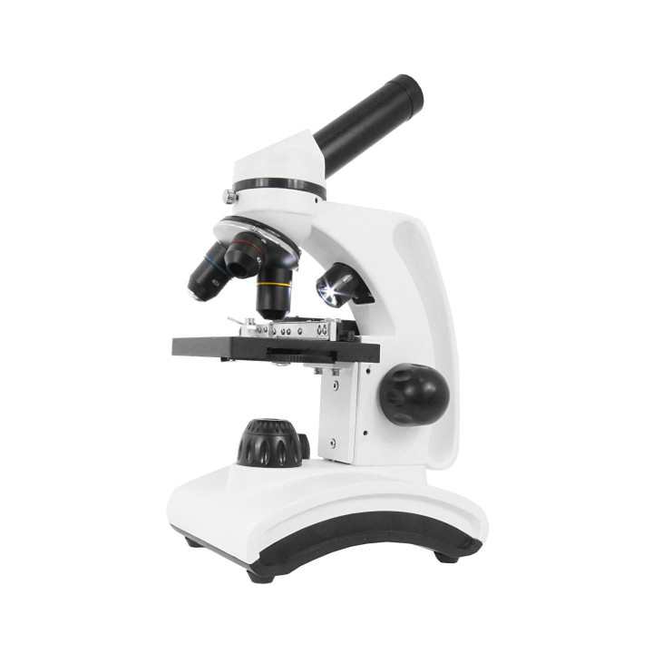Microscopio biológico TS MXM P48 40x–640x
