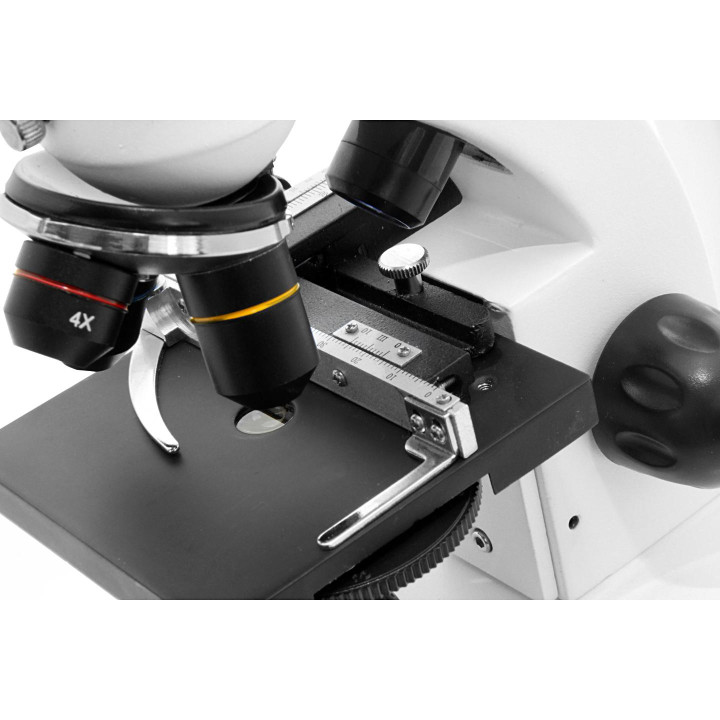 Microscopio biológico TS MXM P48 40x–640x