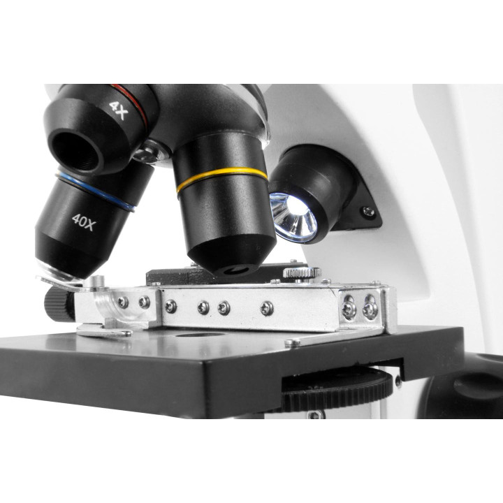 Microscopio biológico TS MXM P48 40x–640x