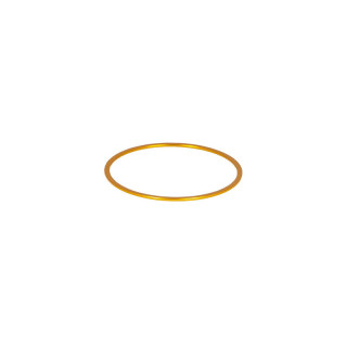 ANILLO ESPACIADOR DE BAADER PLANETARIUM T2 DE 1 MM