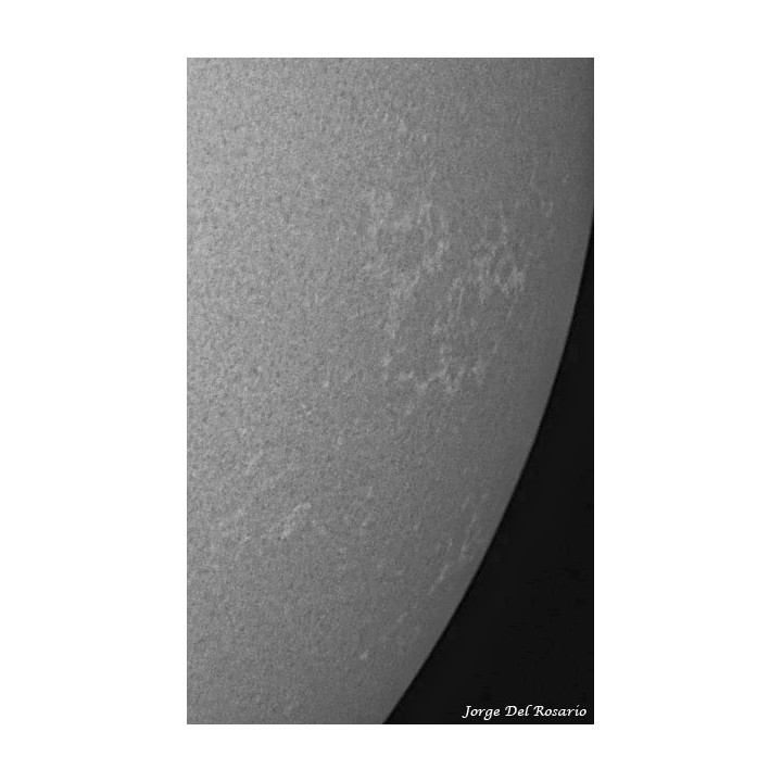 FILTRO SOLAR DE CRISTAL TOAKS PARA TELESCOPIO CON CELDA 273MM