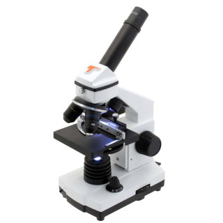 Microscopio biológico TS MXM P7 40–640x