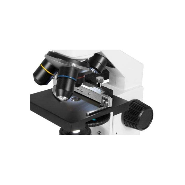 Microscopio biológico TS MXM P7 40–640x