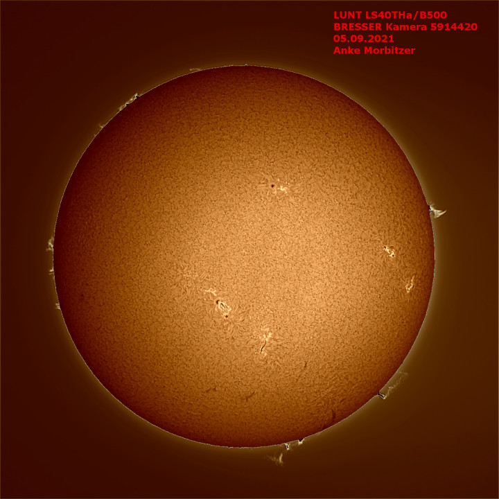 TELESCOPIO SOLAR LUNT LS40THa/B600 H-ALPHA