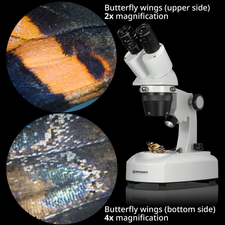 Lupa binocular BRESSER Researcher ICD LED 20x–80x
