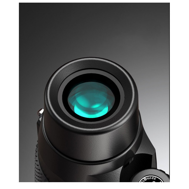 Monocular Celestron Ultima 10x42