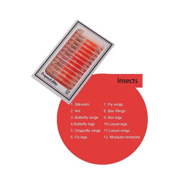 Caja de 12 preparaciones microscópicas plásticas de insectos (Red)