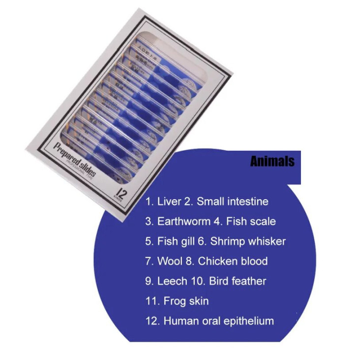 Caja de 12 preparaciones microscópicas plásticas de animales (Blue)
