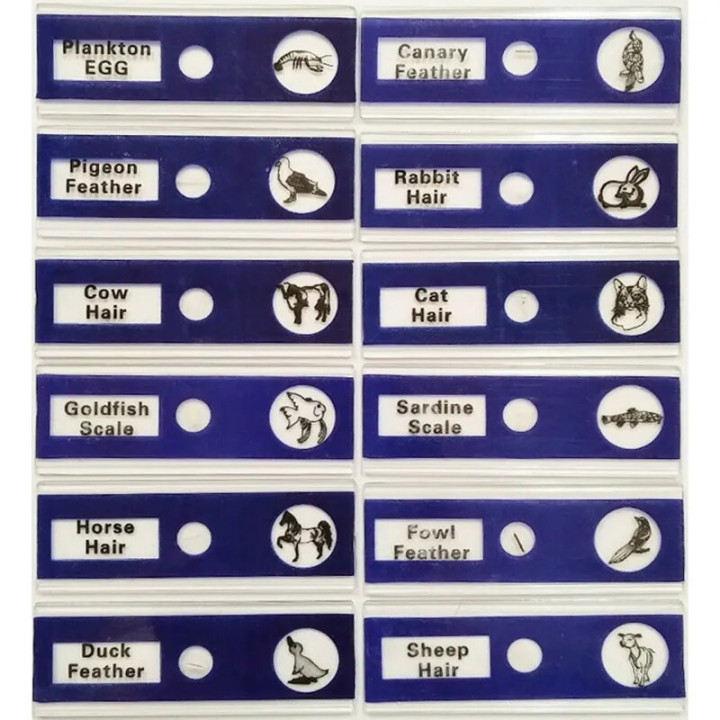 Caja de 12 preparaciones microscópicas plásticas de animales (Blue)