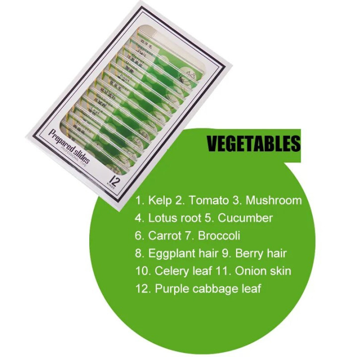 Caja de 12 preparaciones microscópicas plásticas de vegetales (Green)