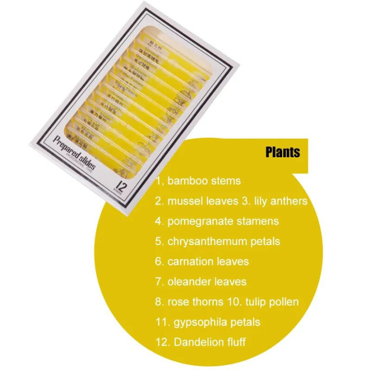 Caja de 12 preparaciones microscópicas plásticas de plantas (Yellow)