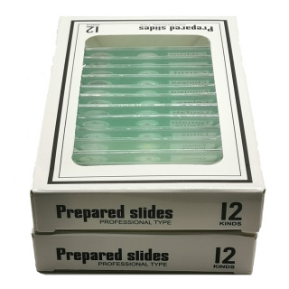 Caja de 12 preparaciones microscópicas plásticas de vegetales (Green)