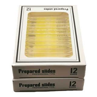 Caja de 12 preparaciones microscópicas plásticas de plantas (Yellow)