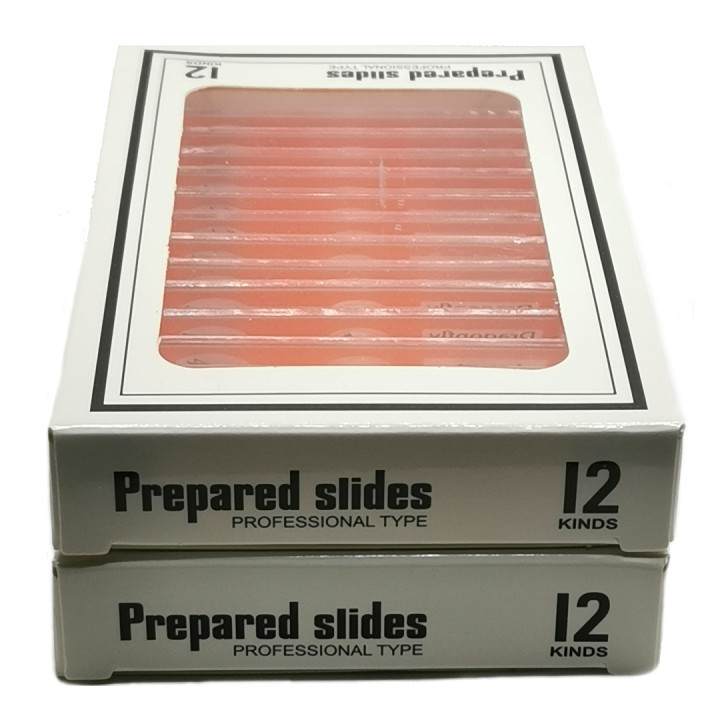 Caja de 12 preparaciones microscópicas plásticas de insectos (Red)