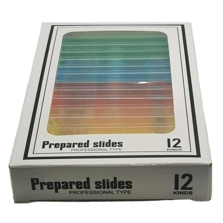 Caja de 12 preparaciones microscópicas plásticas mixtas