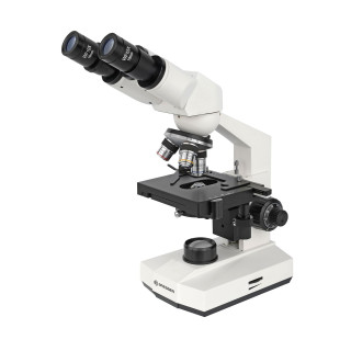 Microscopio estereoscópico BRESSER Erudit Basic Bino 40–400x
