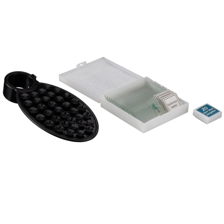 Microscopio estereoscópico BRESSER Erudit Basic Bino 40–400x