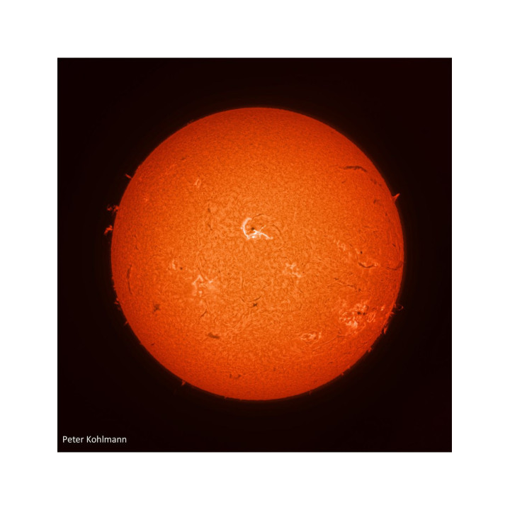 TELESCOPIO SOLAR ACUTER ELITE PHOENIX 80/400 FILTRO 40 MM H-ALPHA