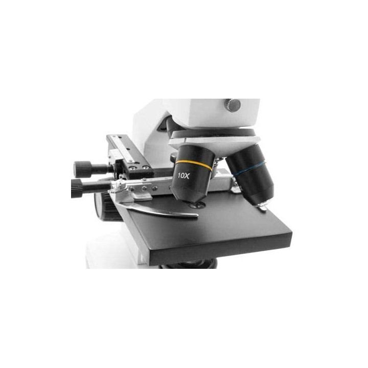 Microscopio biológico TS MXM P7 40–640x con cámara