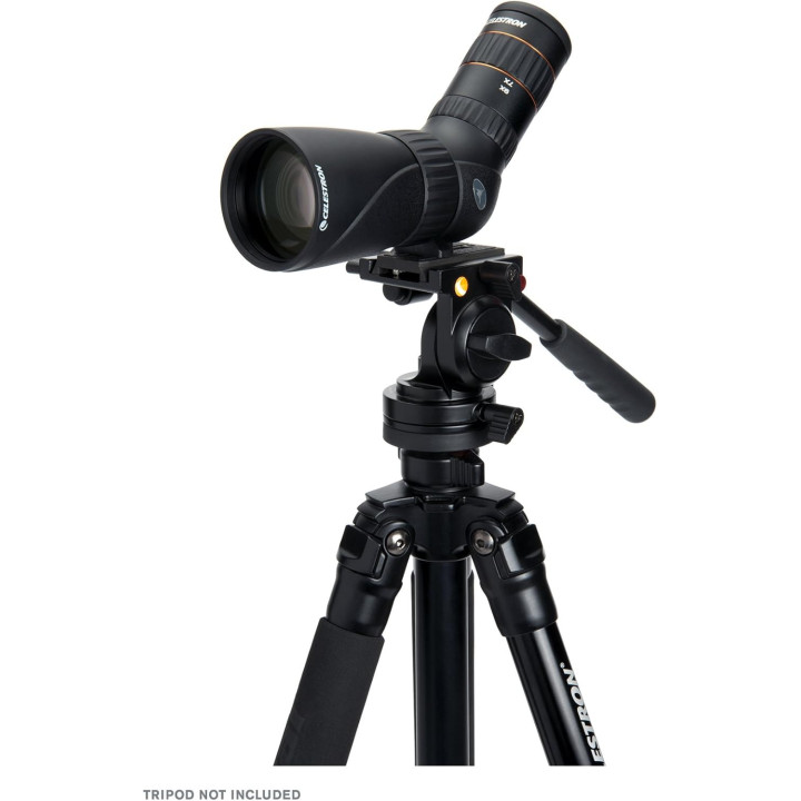 TELESCOPIO TERRESTRE CELESTRON HUMMINGBIRD 9-27X56 ED